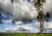 狼队再度受挫，连败之苦难以忘怀