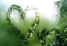 球队连败颓势明显，教练组考虑调整