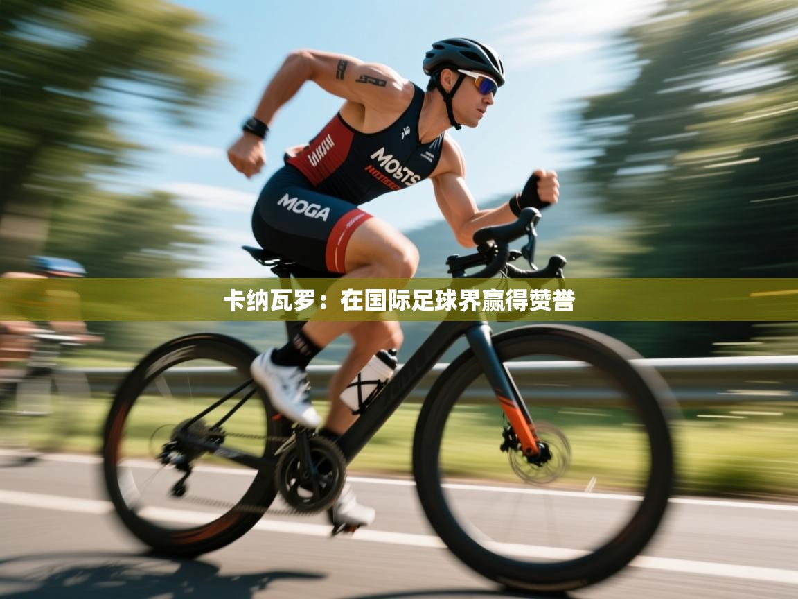 卡纳瓦罗:在国际足球界赢得赞誉 第1张