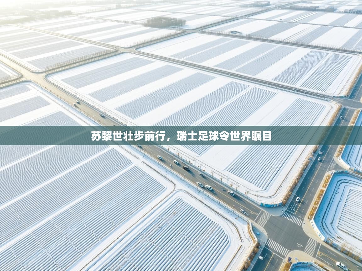 苏黎世壮步前行，瑞士足球令世界瞩目  第1张