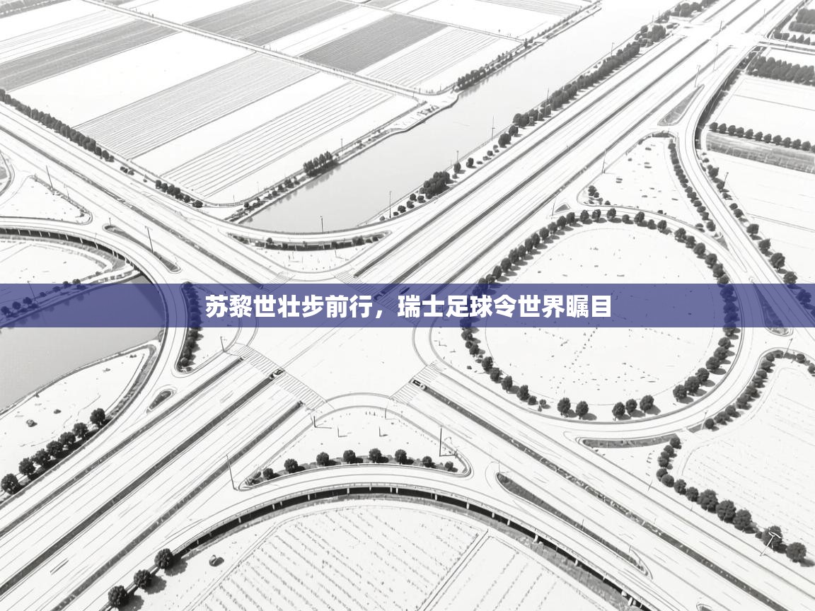 苏黎世壮步前行，瑞士足球令世界瞩目  第2张